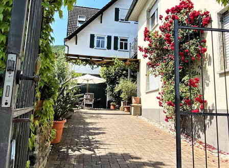 Vingaard ved Mosel Vingaard ved Mosel