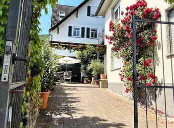 Vingaard ved Mosel, Tyskland Vingaard ved Mosel, Tyskland