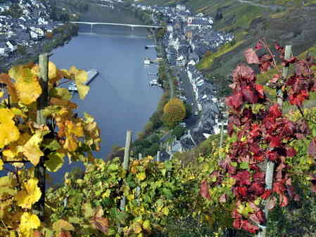 Efterår i Zell ved Mosel Efterår i Zell ved Mosel