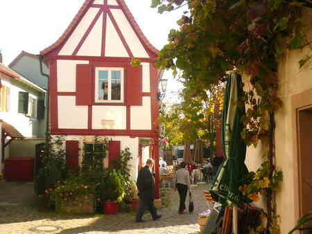 Freinsheim i Pfalz Freinsheim i Pfalz