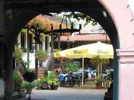 Vingaard i Pfalz Vingaard i Pfalz